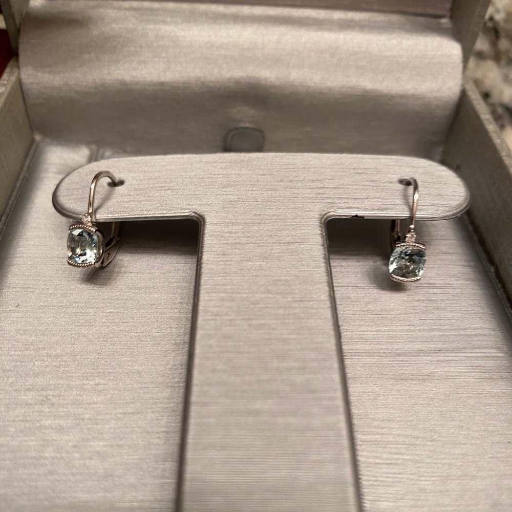 Beautiful silver earrings